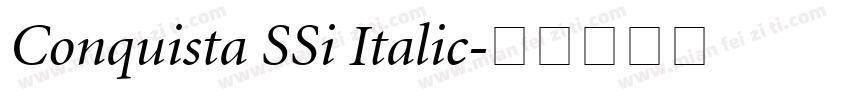 Conquista SSi Italic字体转换